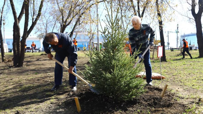 Барбарис, пурпурную иву и ещё почти 7 тысяч деревьев и кустарников высадят в Иркутске в этом году